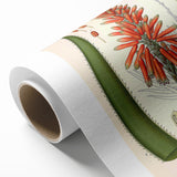 Vintage Botanical Illustration of Aloe Plant Art Print