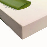 Vintage Botanical Illustration of Aloe Plant Art Print