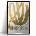 Vintage Botanical Illustration of Laminaria Plant Art Print