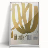 Vintage Botanical Illustration of Laminaria Plant Art Print