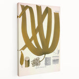 Vintage Botanical Illustration of Laminaria Plant Art Print