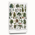 Vintage Botanical Illustration of Diverse Trees Art Print