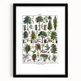 Vintage Botanical Illustration of Diverse Trees Art Print