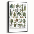 Vintage Botanical Illustration of Diverse Trees Art Print