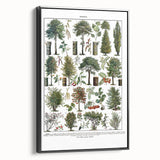 Vintage Botanical Illustration of Diverse Trees Art Print