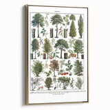 Vintage Botanical Illustration of Diverse Trees Art Print