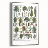 Vintage Botanical Illustration of Diverse Trees Art Print