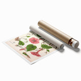 Vintage Botanical Illustration of Ipomoea Plant Art Print