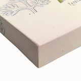 Vintage Botanical Illustration of Ferula Plant Art Print