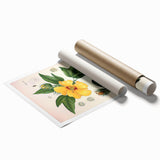 Vintage Botanical Illustration of Cotton Flower Art Print