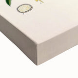 Vintage Botanical Illustration of Cotton Flower Art Print