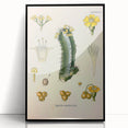 Vintage Botanical Illustration of Cactus Flower Art Print