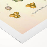 Vintage Botanical Illustration of Cactus Flower Art Print