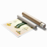 Vintage Botanical Illustration of Cactus Flower Art Print