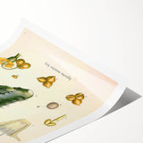 Vintage Botanical Illustration of Cactus Flower Art Print