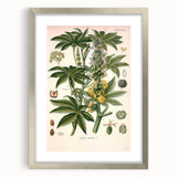 Vintage Botanical Illustration of Ricinus Communis Art Print