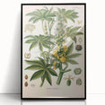 Vintage Botanical Illustration of Ricinus Communis Art Print