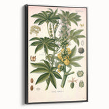 Vintage Botanical Illustration of Ricinus Communis Art Print