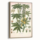 Vintage Botanical Illustration of Ricinus Communis Art Print
