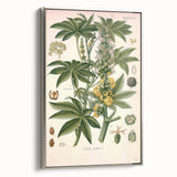 Vintage Botanical Illustration of Ricinus Communis Art Print