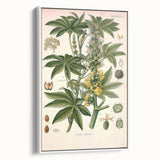 Vintage Botanical Illustration of Ricinus Communis Art Print