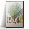 Vintage Botanical Illustration of Pinus Laricio Art Print