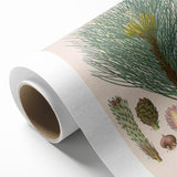 Vintage Botanical Illustration of Pinus Laricio Art Print