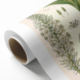 Vintage Botanical Illustration of Urginea Scilla Art Print