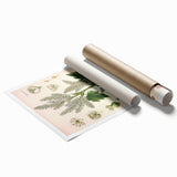 Vintage Botanical Illustration of Rheum officinale Art Print