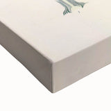 Vintage Botanical Illustration of Crocus sativus Art Print