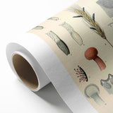 Vintage Botanical Illustration of Claviceps purpurea Art Print