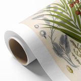 Vintage Botanical Illustration of Calamus draco Art Print