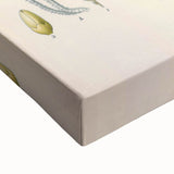 Vintage Botanical Illustration of Calamus draco Art Print