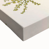 Vintage Botanical Illustration of Anamirta paniculata Art Print