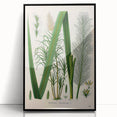 Vintage Botanical Illustration of Saccharum officinarum Art Print