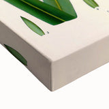 Vintage Botanical Illustration of Saccharum officinarum Art Print