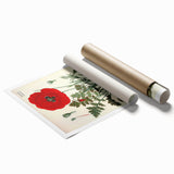 Vintage Botanical Illustration of Papaver Rhoeas Art Print