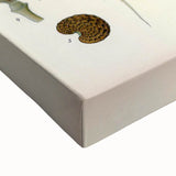 Vintage Botanical Illustration of Papaver Rhoeas Art Print