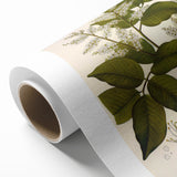 Vintage Botanical Print - Copaifera Officinalis Flower Illustration