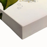 Vintage Botanical Print - Copaifera Officinalis Flower Illustration