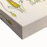 Vintage Botanical Art Print - Zingiber Officinale Ginger Plant