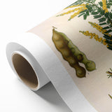 Vintage Botanical Art Print - Acacia Senegal Yellow Flower Illustration