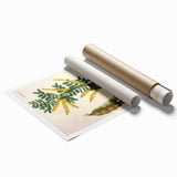 Vintage Botanical Art Print - Acacia Senegal Yellow Flower Illustration