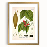 Botanical Art Prints - Vintage Botanical Illustration Art