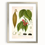 Botanical Art Prints - Vintage Botanical Illustration Art