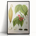 Botanical Art Prints - Vintage Botanical Illustration Art