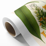 Botanical Art Prints - Vintage Curcuma Longa Illustration Art