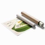 Botanical Art Prints - Vintage Curcuma Longa Illustration Art