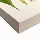 Botanical Art Prints - Vintage Curcuma Longa Illustration Art