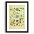 Vintage Oceanography Illustration - Nature Elements Wall Art Print